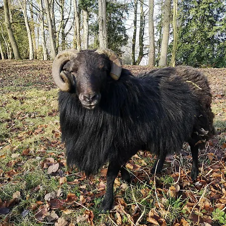 Eco-gîte De L'etang Présent Сasa de vacaciones
