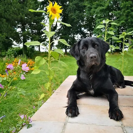 Eco-gîte De L'etang Présent Сasa de vacaciones Hornaing