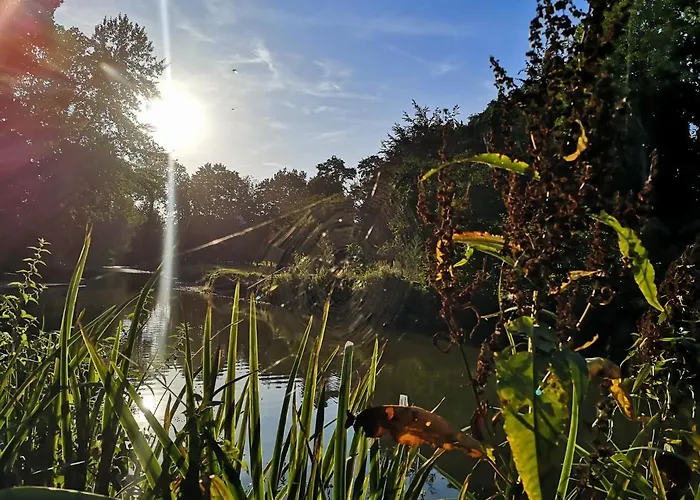 Eco-gite De L'etang Present Holiday home Hornaing