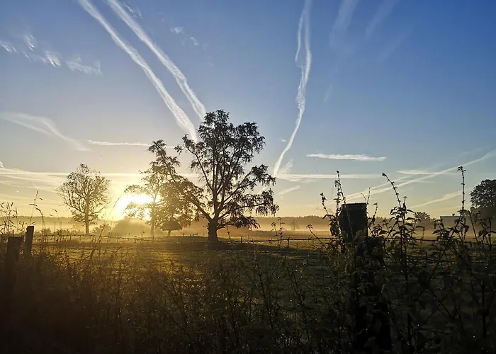 Eco-gite De L'etang Present Holiday home *