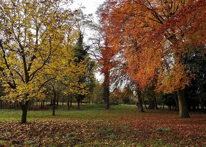 Eco-gite De L'etang Present *