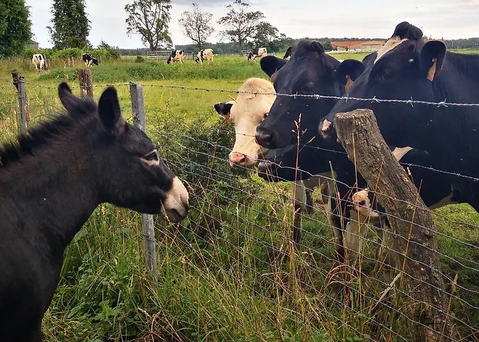 Eco-gite De L'etang Present * Hornaing